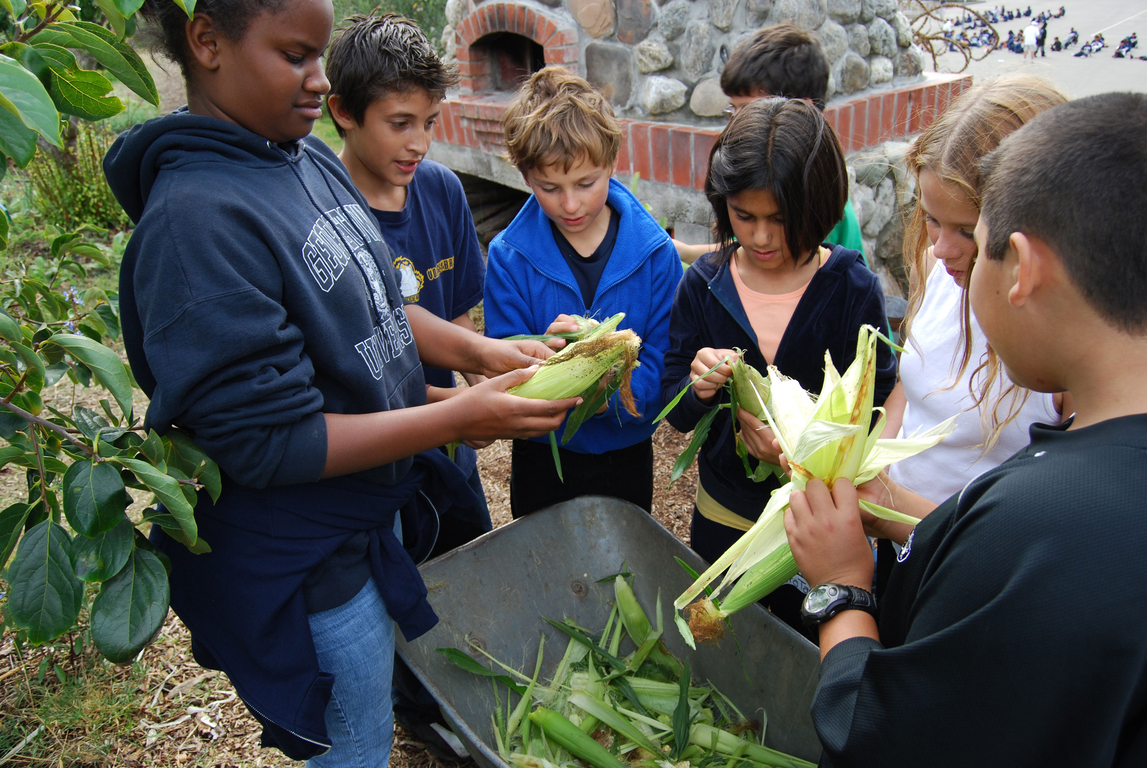 Get Involved  The Edible Schoolyard Project